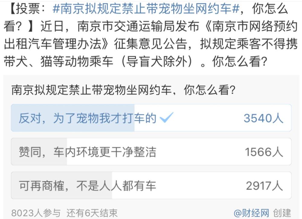 南京宠物航空箱