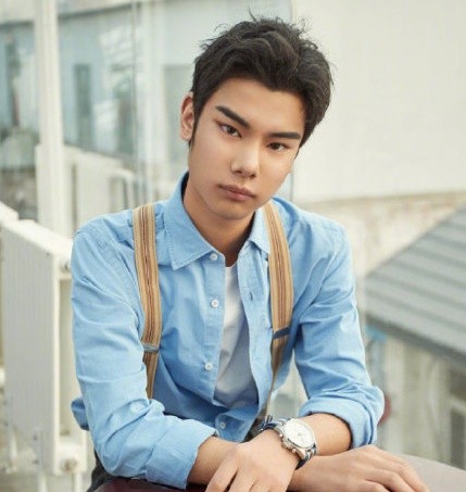 眉毛哥小吴因发际线还清50万债款如今要进入直播界卖车