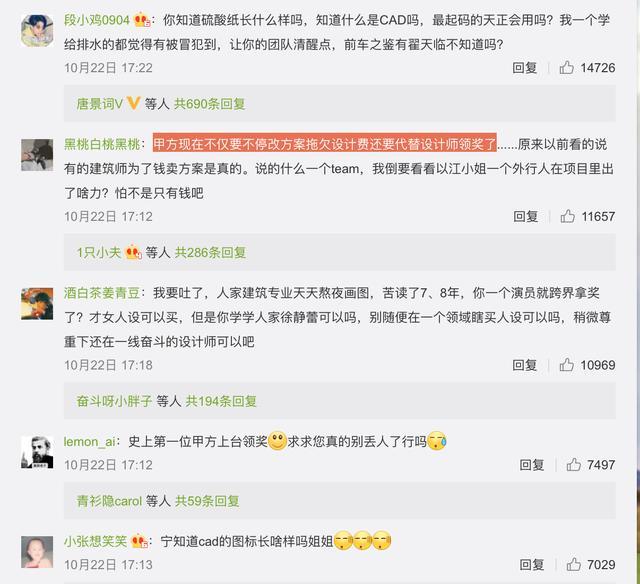 江一燕的建筑奖为何被群嘲？文艺女的这口鸡汤喝着太烫嘴了（组图） - 5