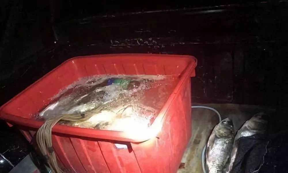 他在珊溪水库偷鱼被判8个月