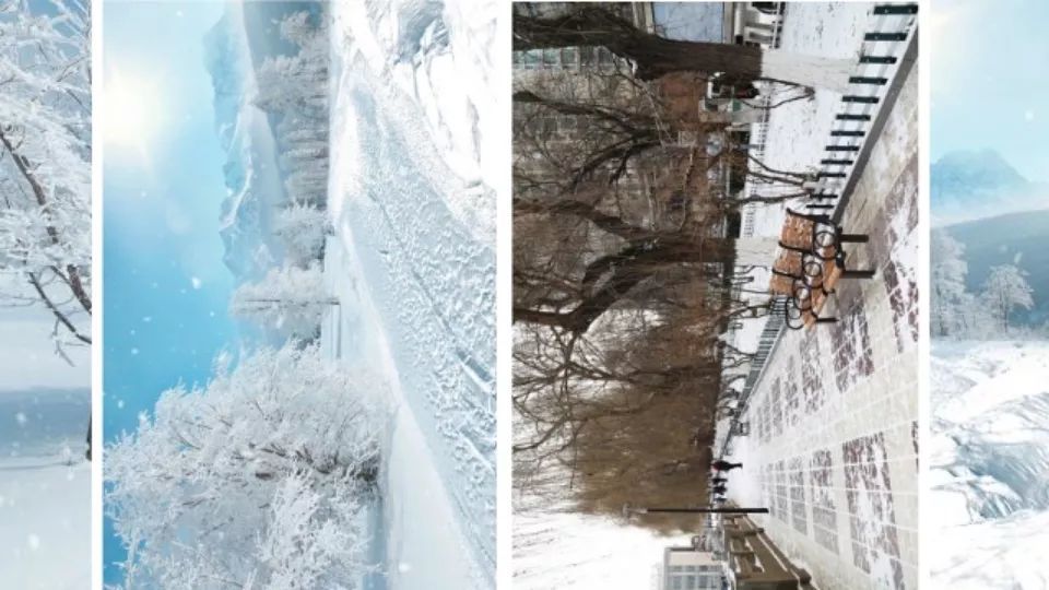 南北差异大盘点 |一场南方和北方的"掰头"