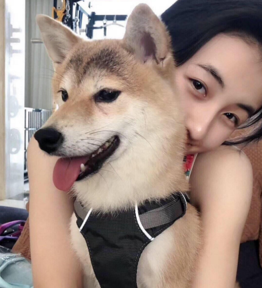 宋茜的宠物猪长大了!前后对比本尊抱猪一脸惆怅,网友:身价暴涨