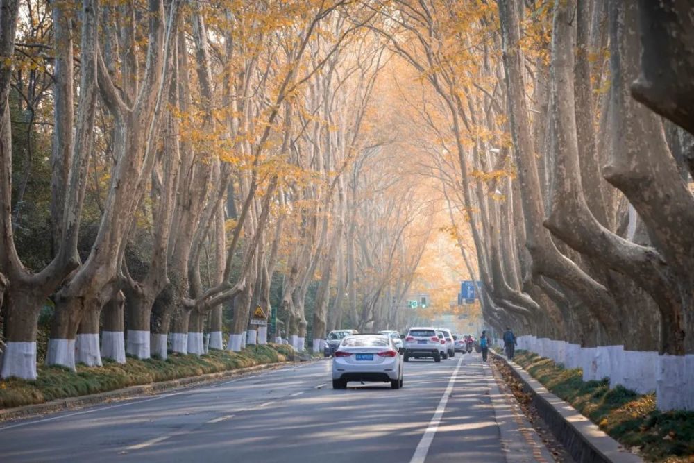 苏州|一入深秋，中国就穿越了几千年