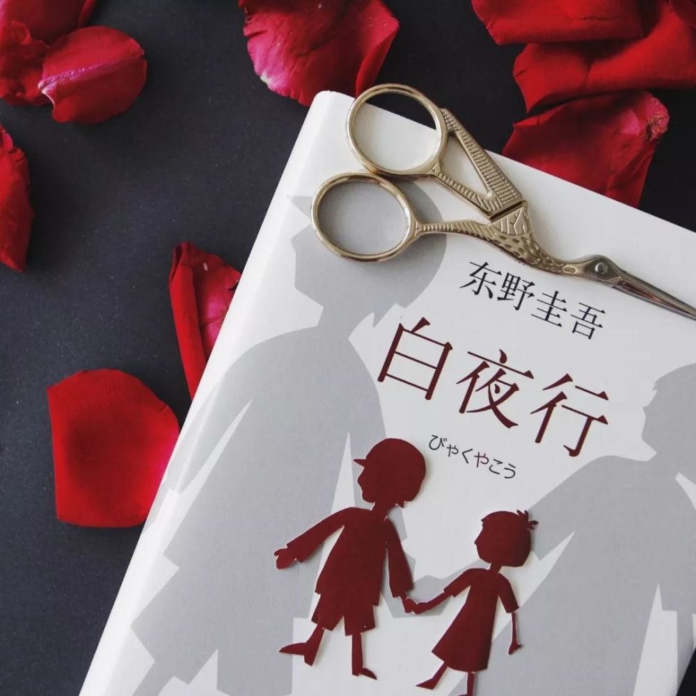 少年的你上映我的世界没有太阳但有了你