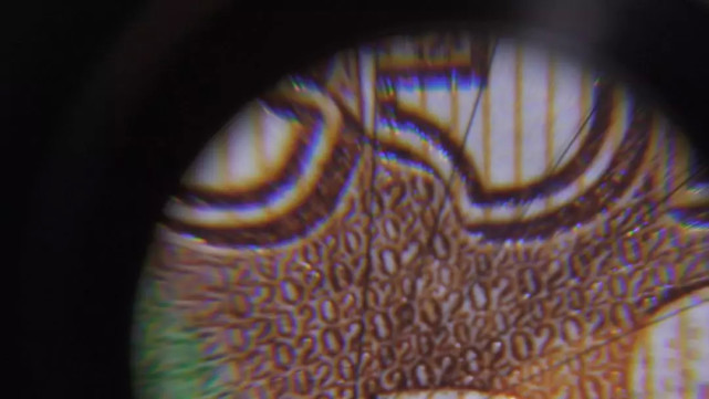 图为放大的20元正面团花，可清晰看到微缩的“20”