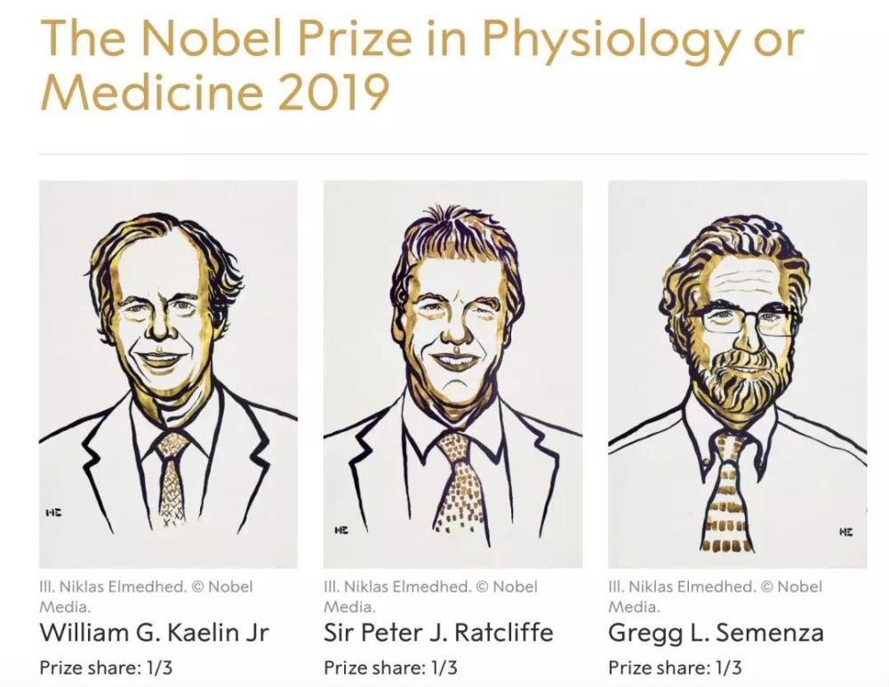 牛津大学和弗朗西斯·克里克研究所的彼得·拉特克利夫爵士(sir