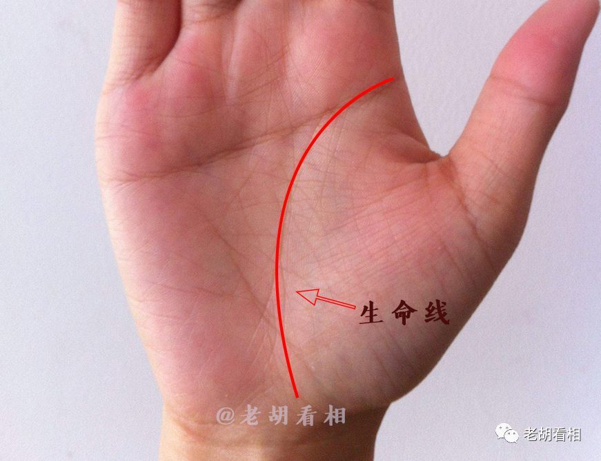 生命线怎么看 你的生命线有这些支线吗 腾讯新闻