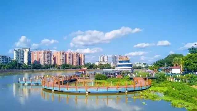 成都新津区来了!