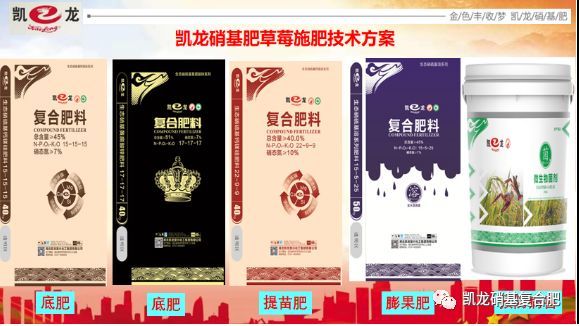 想要品质好 中微量元素少不了 详解草莓缺素症状及应对措施 腾讯新闻