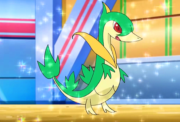 精灵宝可梦:小智经历四次联盟大赛,新地区竟被刚出道小孩教育,太丢脸