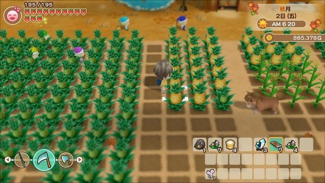 牧场物语重聚矿石镇 老bug被移植 光种菠萝 每天就能收成10万 腾讯新闻