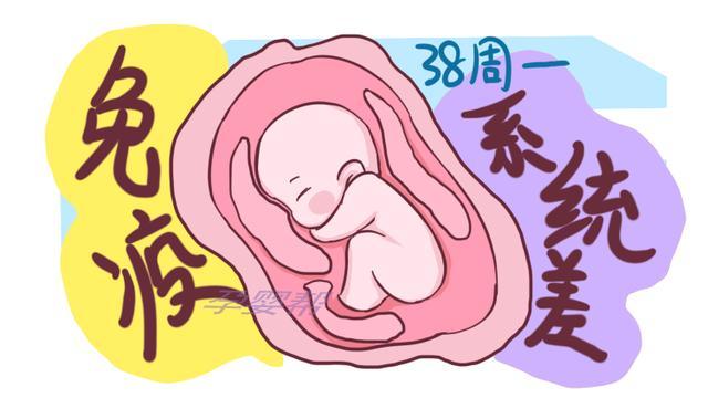 孕38和孕40周剖腹生的宝宝 差别大着呢 别为选 吉日 让娃冒险 腾讯新闻