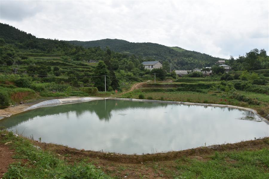 多万处的饮水工程,正通过星罗棋布的乡村水厂和密密麻麻的供水管网,向