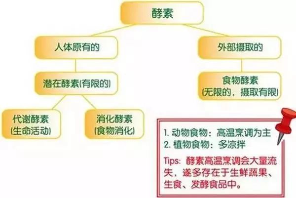 酵素不是药物 却是打开营养健康大门的钥匙 腾讯新闻