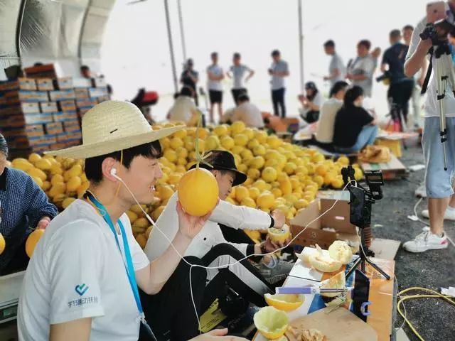 陕西农民真有钱竟拿牛奶灌溉水果难怪果子的香如此浓烈