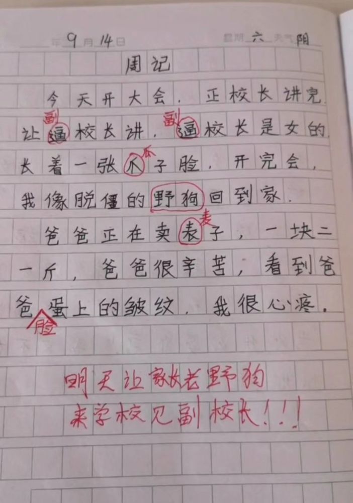 当代小学生的满分作文实力不一般啊老了老了