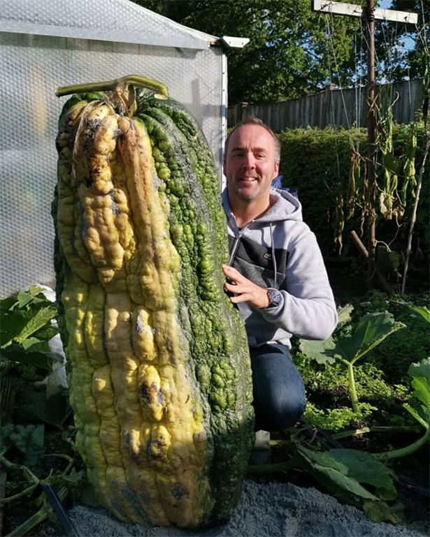 种菜种上瘾巨型蔬菜引狂热每年花费数千英镑种出300斤巨型南瓜