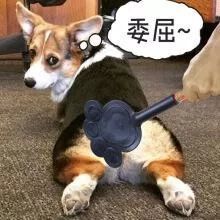 641