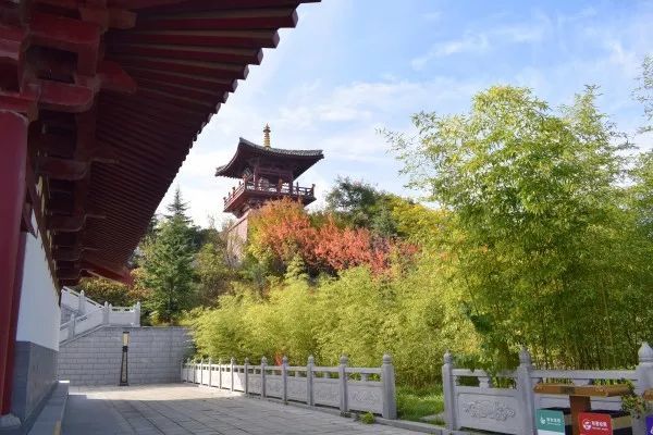 no.3在化女泉摘山楂