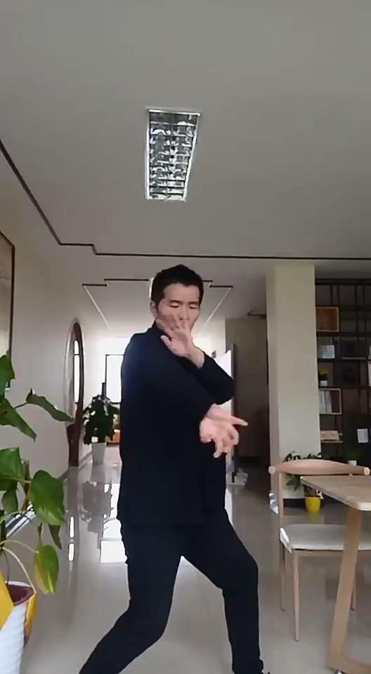 咏春大师丁浩苦练防守反击余昌华力挺有望击败阿虎复仇成功