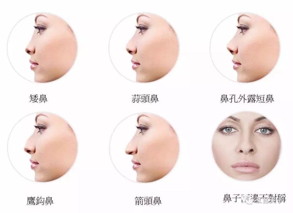 看鼻子准确预测你的事业运势