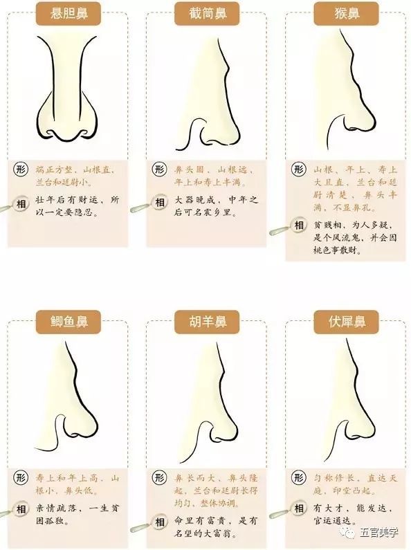 看鼻子准确预测你的事业运势