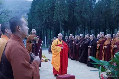 己亥年寒衣节少林寺僧众塔林祭祖