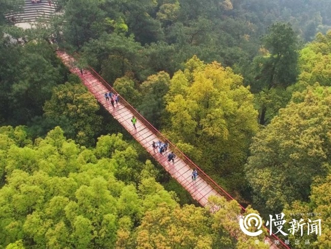 等你來打卡!重慶沙坪壩打造3條特色山城步道