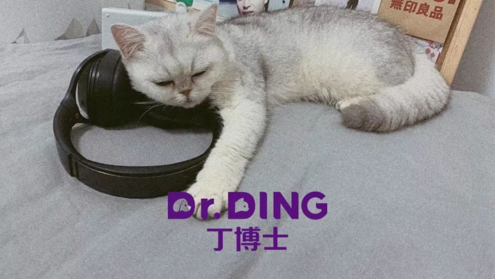 猫咪绝育手术前后注意事项 绝育后可能产生的变化和术后护理建议 腾讯新闻