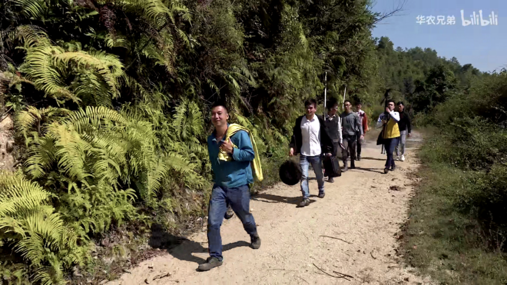 花式吃竹鼠的华农兄弟,靠土味视频火爆全网?