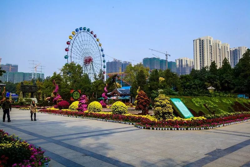 全部免费这些遍布洛阳市区的公园藏着最后的秋色错过等明年