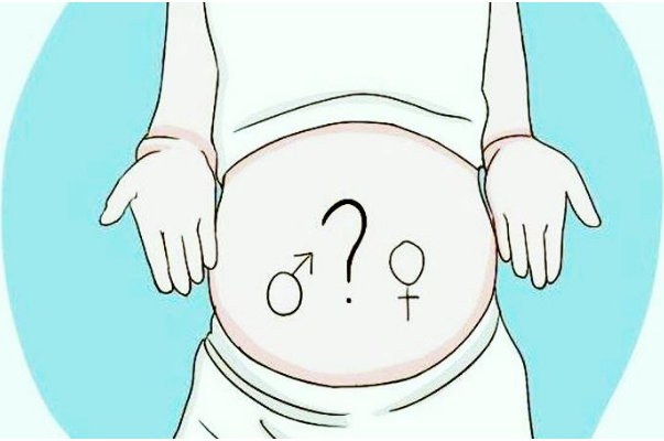 中医把脉看生男生女要诊断脉象.