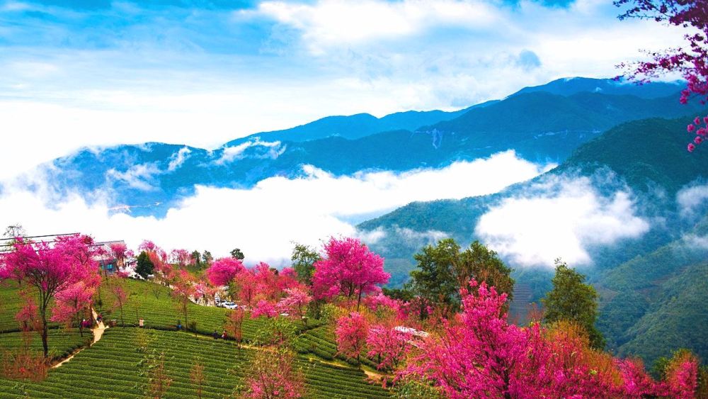 越到秋天越美丽的几处清幽之地 梵净山上榜 你去过几个 腾讯新闻