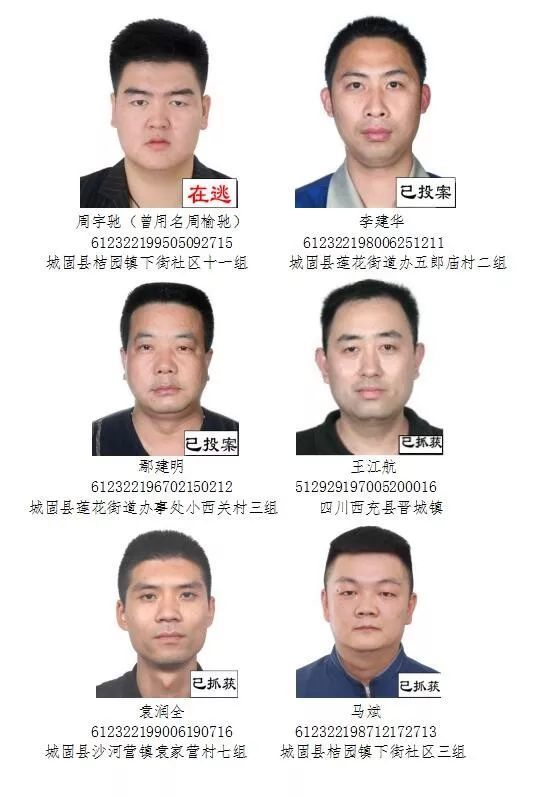 城固人口_楼市前景比较:城固&勉县,镇巴&宁强&略阳