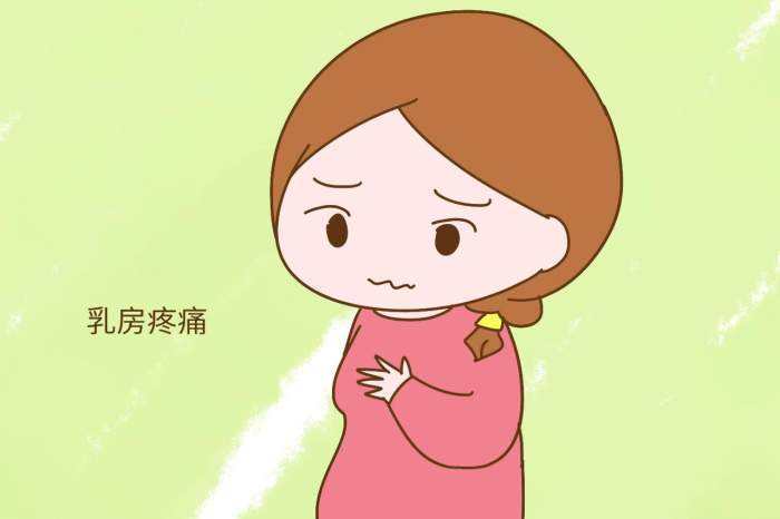 乳房,是女性的象征之一.