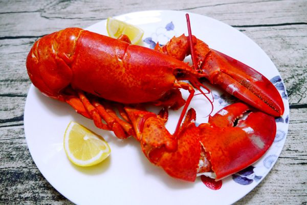 受法国贵族追捧的法国蓝龙你吃过吗?