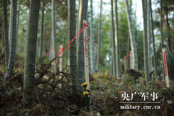 梭驼扬即武夷山沙渠洋村在当地方言中的读音,由于文字记载和地名读音