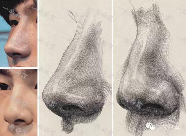 "回归经典"系列《素描头像》3.4五官:鼻子的分角度训练