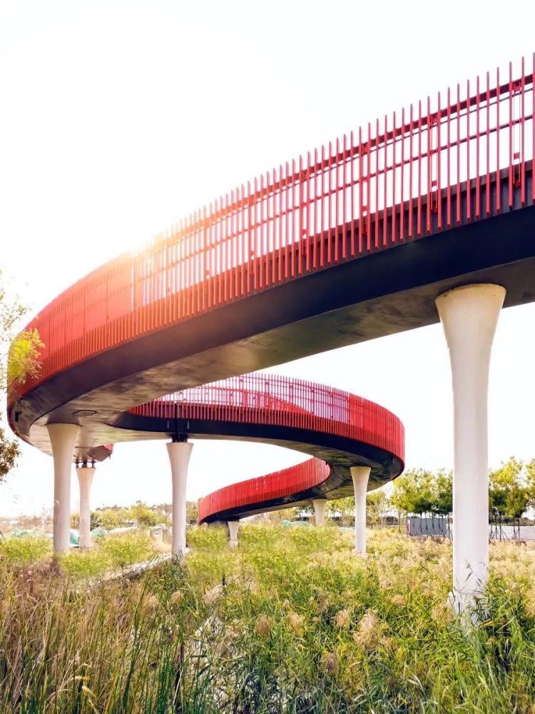 塘沽湾文化休闲公园及空中漫步廊道塘沽湾区域规划平面图医疗方面,与