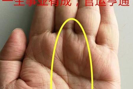 从手相看你的事业财运 事业线止于感情线会如何 事业线 手相 感情线 事业财运 智慧线 运势