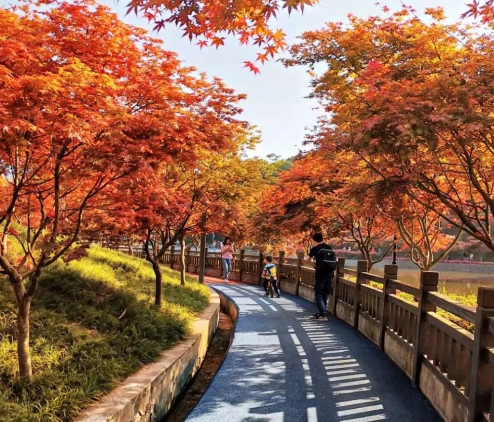 植物園裡面還有 登山步道和 公園環道,來都來了肯定要走走逛逛,就當