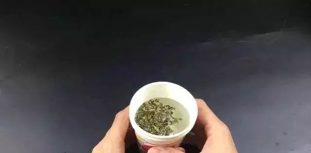 一次性纸杯底部戳几个孔,喝茶也能这么方便