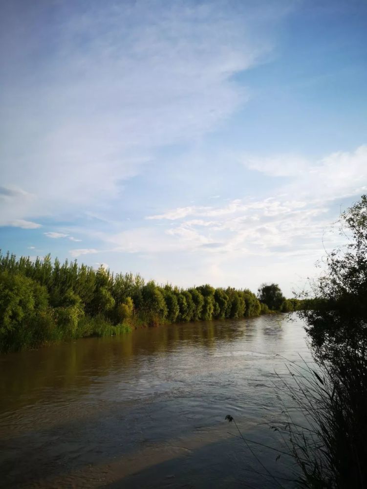 伊犁河湿地的芳草湖