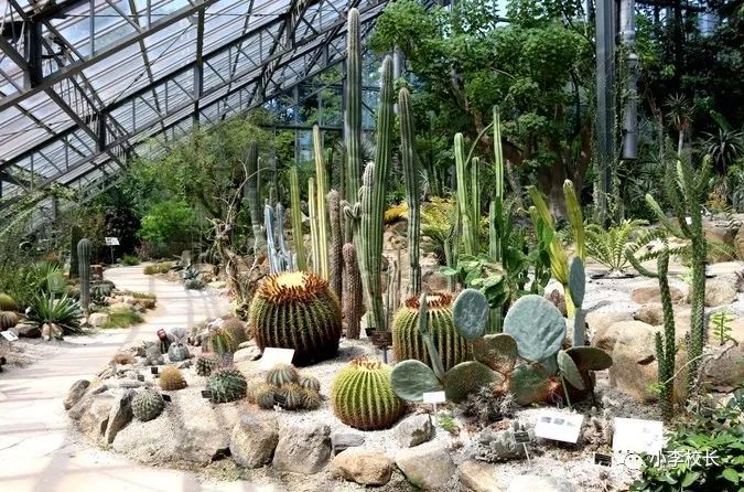 李游记 东京圈外小城第一站 筑波 腾讯新闻