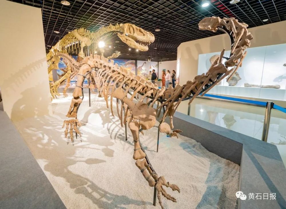 重慶自然博物館鎮館之寶 科學藝術家趙闖手繪的恐龍家園大型油畫 首次