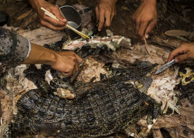 特种兵野外生存训练,经常吃生肉喝蛇血,难道不用担心体内长虫吗?