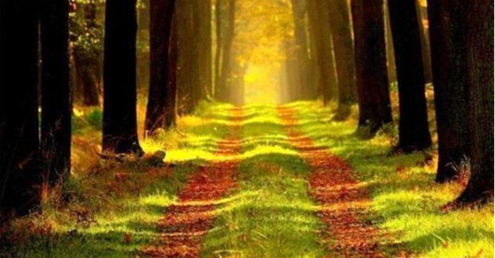 心理学:如果你正在逃命,会跑图中哪条路?测你天生是什么命!