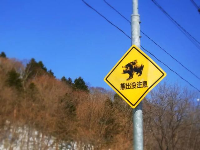 腾讯内容开放平台