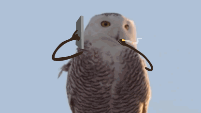 母亲只为儿子买房 女儿不满重男轻女遭暴打