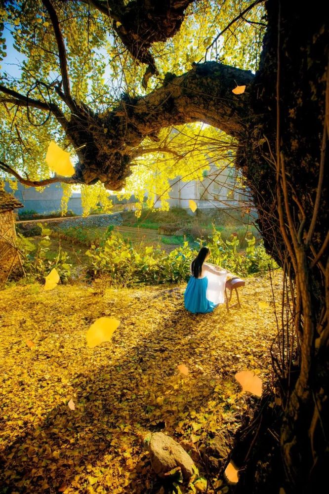 和顺古镇其封闭,传统,安定的环境,完整地保留了中国明清文化的特色